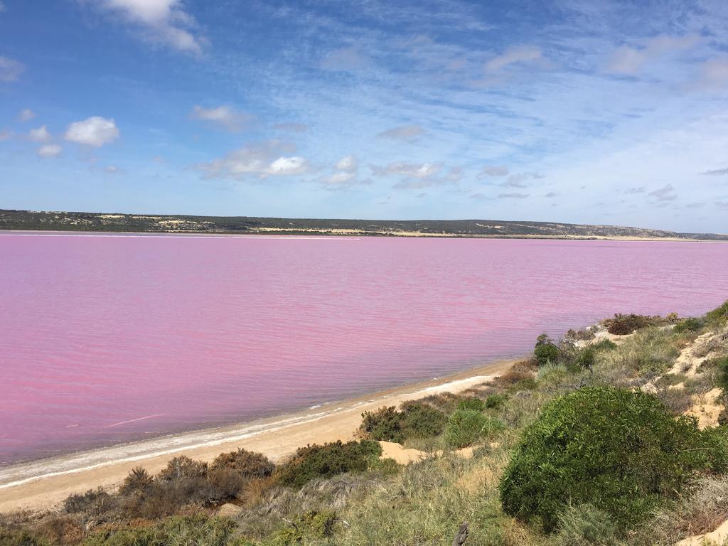 Port Gregory Caravan Park Екстериор снимка